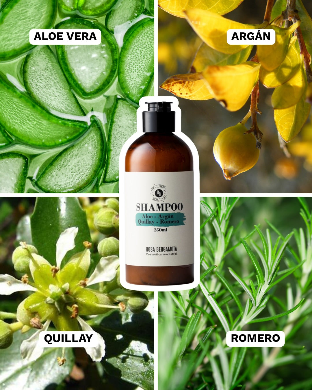 Shampoo Anticaida 250ml