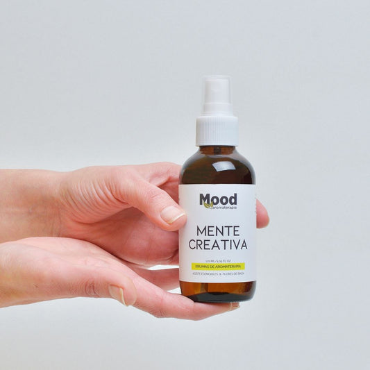 Bruma Mente Creativa