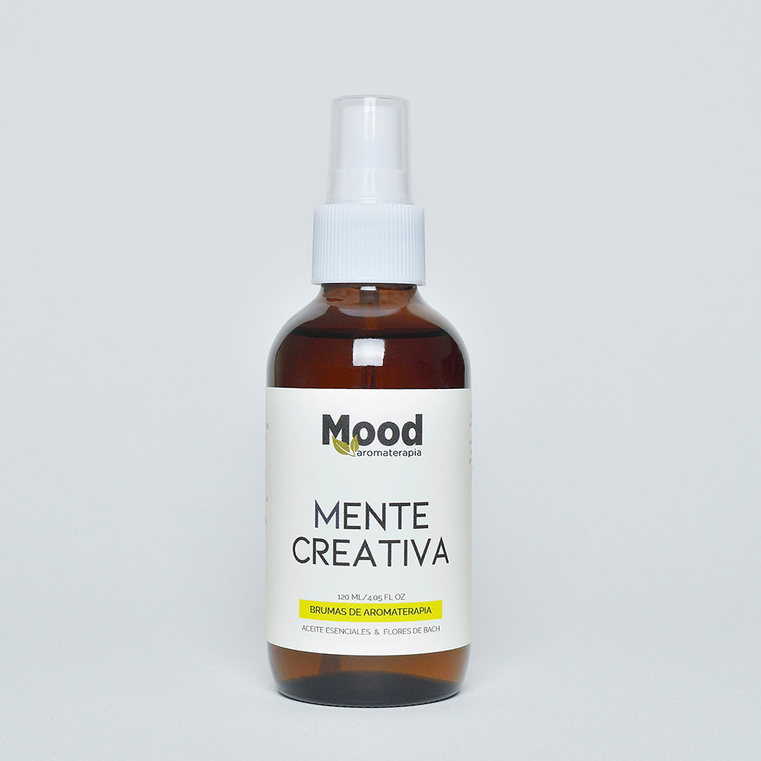 Bruma Mente Creativa